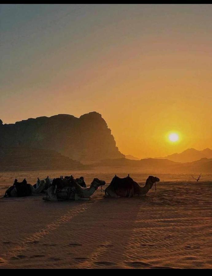 Caravan Station Camp 호텔 와디럼 외부 사진